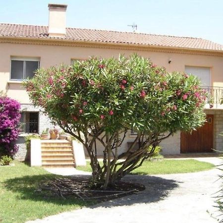 사리 솔렌자라 Casa Rossa Solenzara 아파트 외부 사진