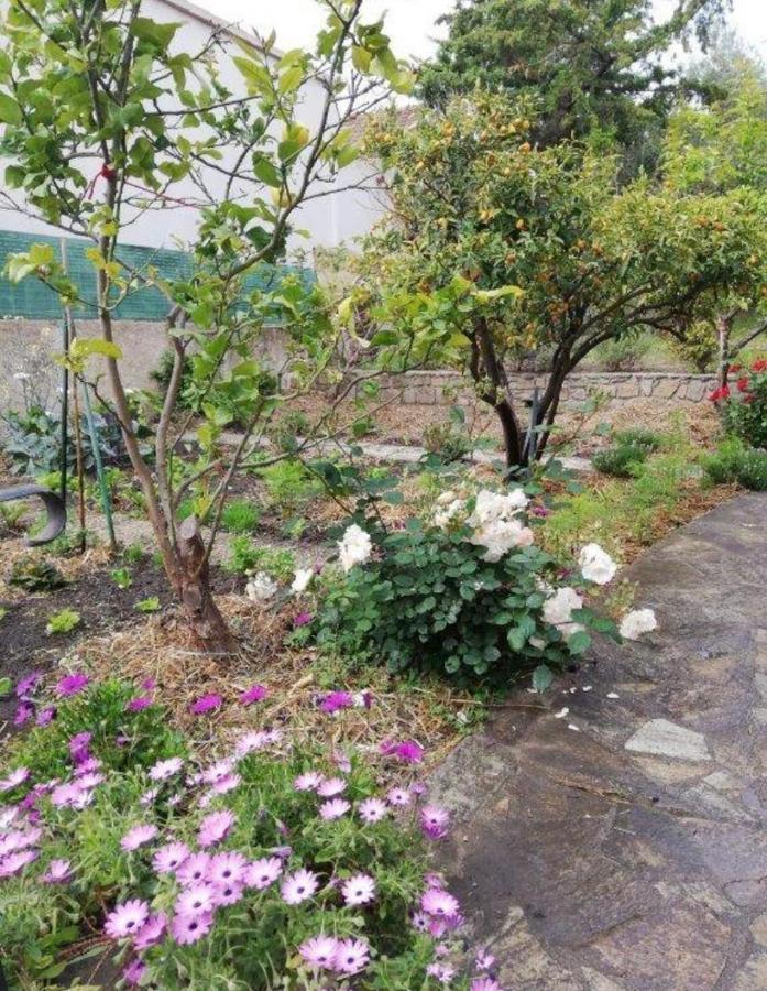 사리 솔렌자라 Casa Rossa Solenzara 아파트 외부 사진
